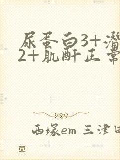 尿蛋白3+潜血2+肌酐正常