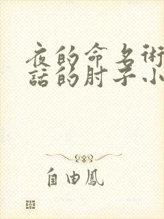 夜的命名术会说话的肘子小说