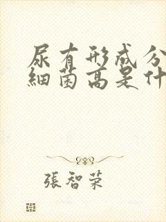 尿有形成分分析细菌高是什么意思