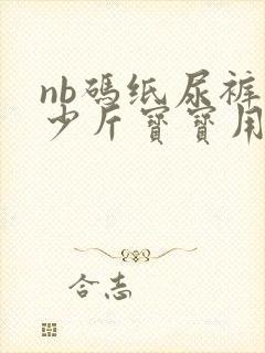 nb码纸尿裤多少斤宝宝用