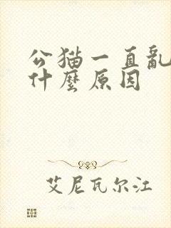 公猫一直乱尿是什么原因