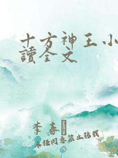 十方神王小说阅读全文