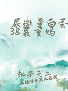 尿微量白蛋白高38严重吗