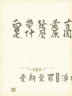 白带发黄有恶臭是什么原因