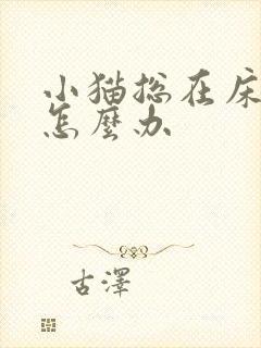 小猫总在床上尿怎么办