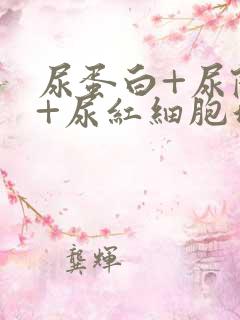 尿蛋白+尿隐血+尿红细胞增多