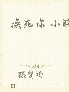 操死你 小贱货