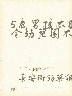 5岁男孩不听指令幼儿园不收