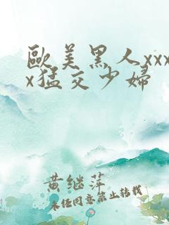 欧美黑人xxxx猛交少妇