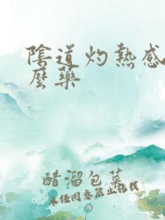 阴道灼热感用什么药