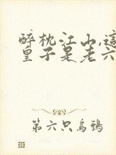 醉枕江山,这个皇子是老六全文阅读阅读