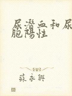 尿潜血和尿白细胞阳性