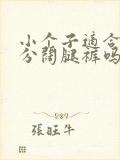 小个子适合穿9分阔腿裤吗