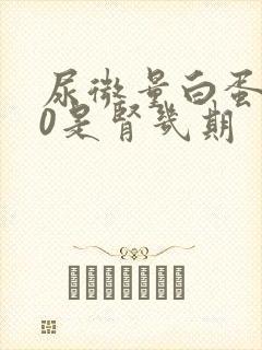 尿微量白蛋白30是肾几期