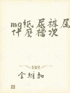 mg纸尿裤属于什么档次