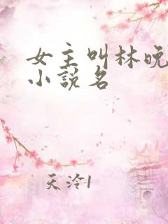 女主叫林晚星的小说名