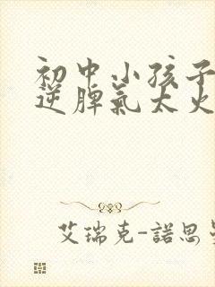 初中小孩子太叛逆脾气太火爆