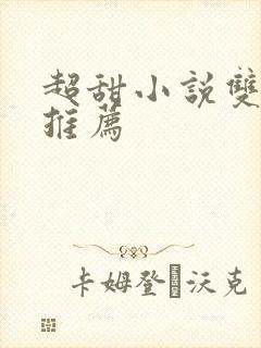 超甜小说双男主推荐