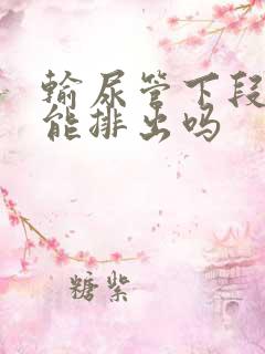 输尿管下段结石能排出吗