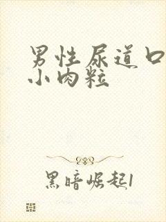 男性尿道口上的小肉粒