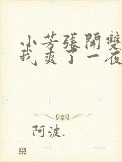 小芳张开双腿让我爽了一夜