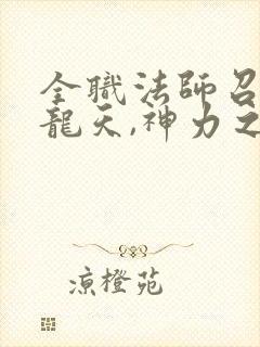 全职法师召唤黑龙天,神力之巅