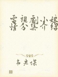 电视剧小娘惹剧情分集介绍