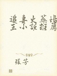 追妻火葬场双男主小说推荐