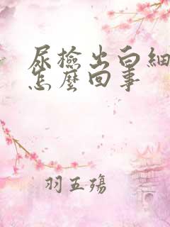 尿检出白细胞高怎么回事