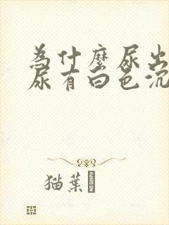 为什么尿出来的尿有白色沉淀物