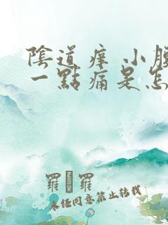 阴道痒 小腹有一点痛是怎么回事