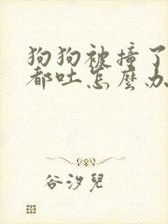 狗狗被撞了喝水都吐怎么办