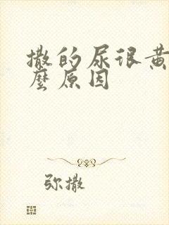 撒的尿很黄是什么原因