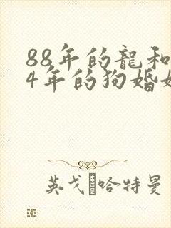 88年的龙和94年的狗婚姻相配吗