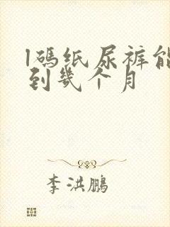 l码纸尿裤能穿到几个月