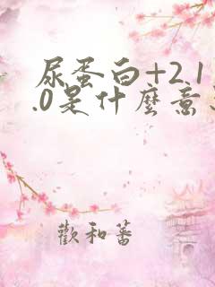 尿蛋白+2 1.0是什么意思