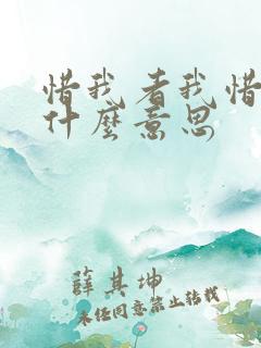 惜我者我惜之是什么意思