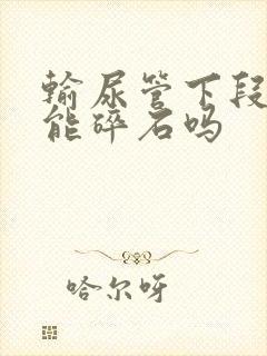 输尿管下段结石能碎石吗