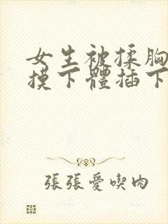 女生被揉胸吃奶摸下体插下体图片