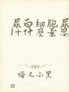 尿白细胞尿隐血1+什么意思