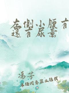 左侧小腹有点胀还有尿意