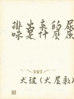 排出来的尿有异味是什么原因