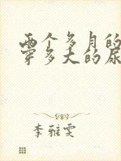 两个多月的宝宝穿多大的尿不湿