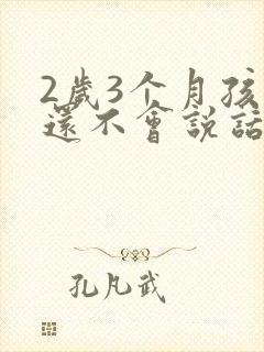 2岁3个月孩子还不会说话