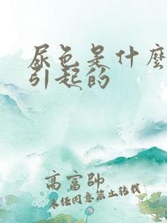 尿色是什么原因引起的