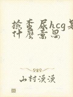 检查尿hcg是什么意思