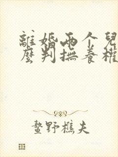 离婚两个儿子怎么判抚养权