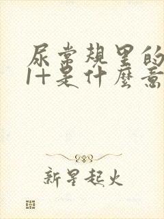 尿常规里的隐血1+是什么意思