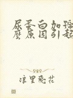 尿蛋白加号是什么原因引起的