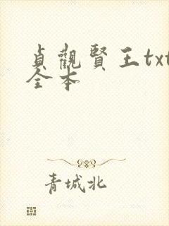 贞观贤王txt全本